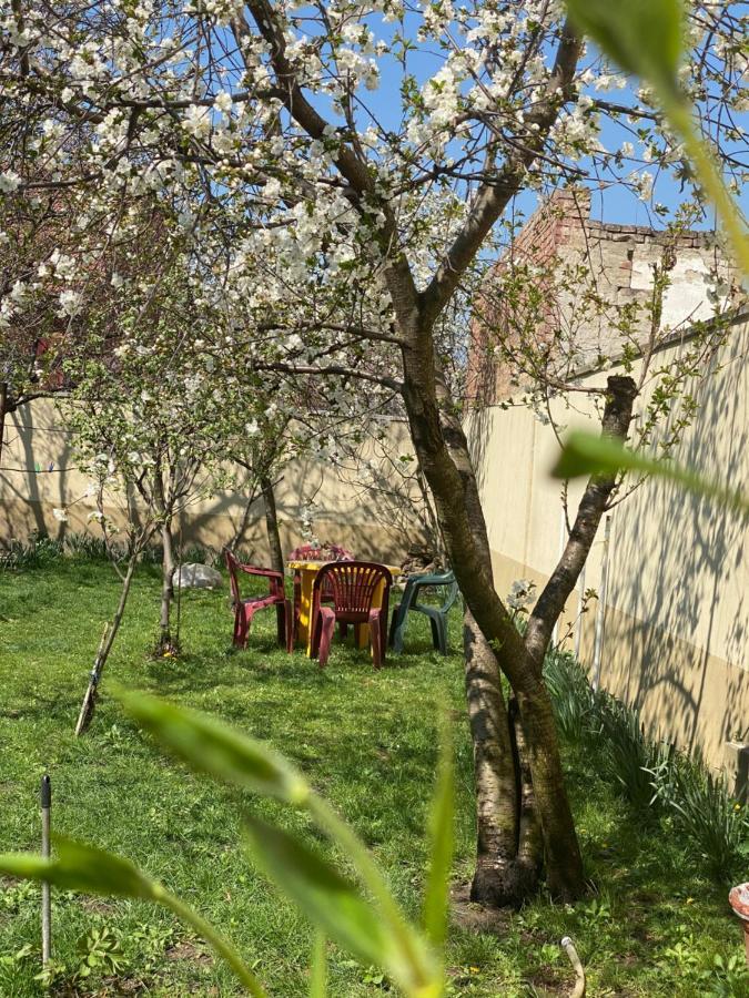 Zen House Hostel Timisoara